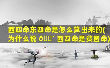 西四命东四命是怎么算出来的(为什么说 🐴 西四命是贫困命)